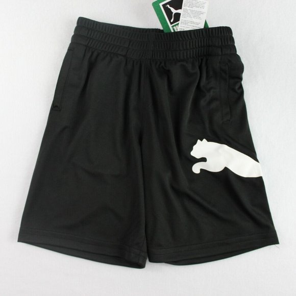 Bermuda puma cheap big cat